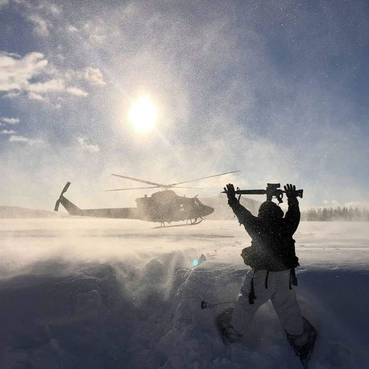 Downloaded tweet media