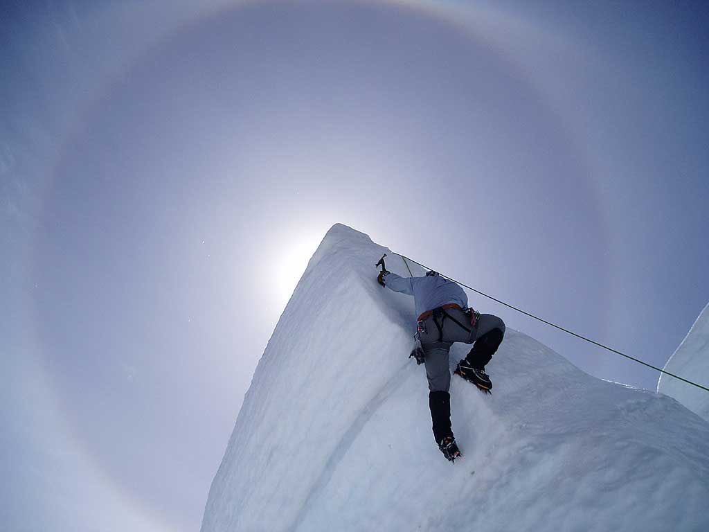 Downloaded tweet media