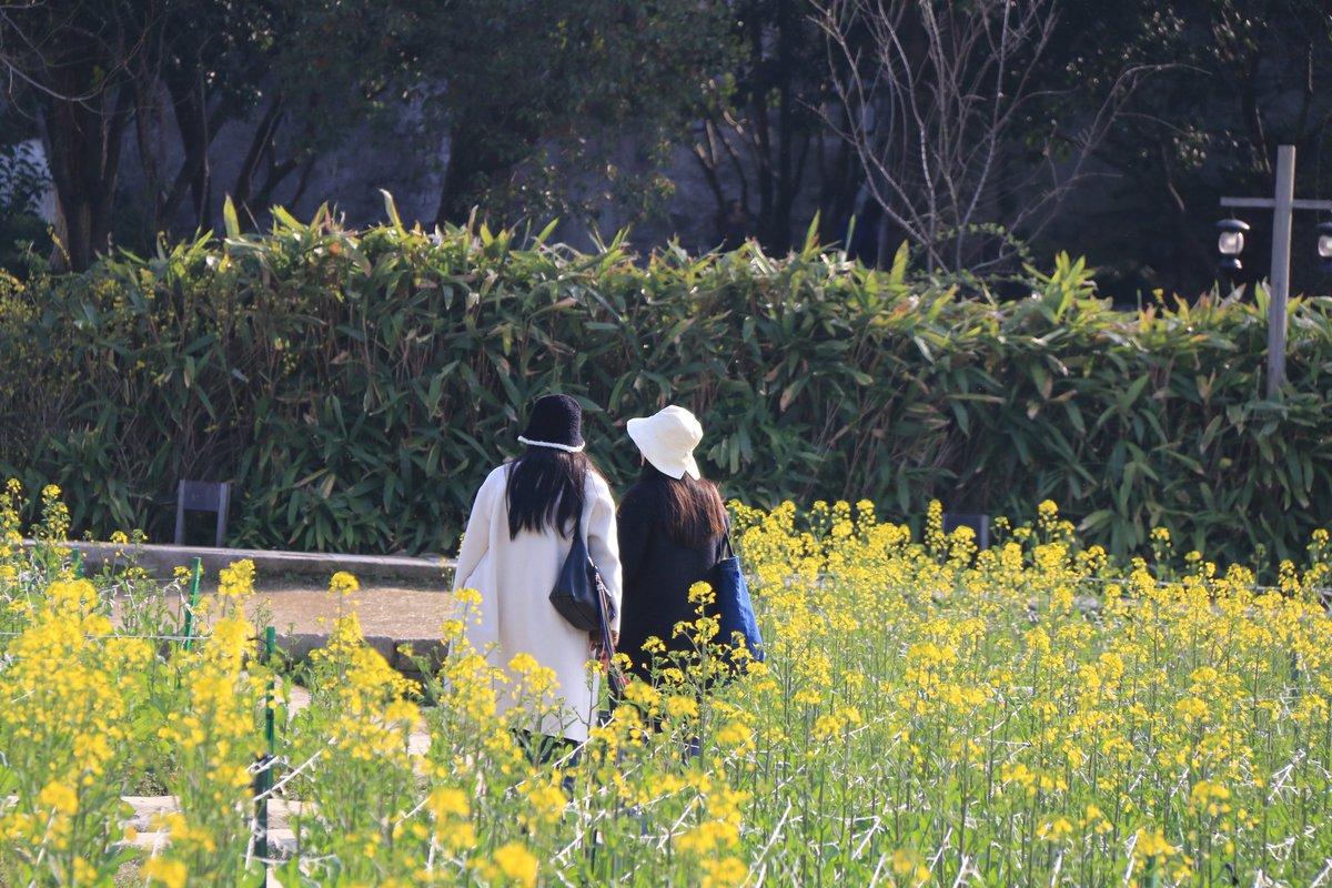 lio_li71242's tweet photo. “她”看春天 https://t.co/96I02QL0Y0