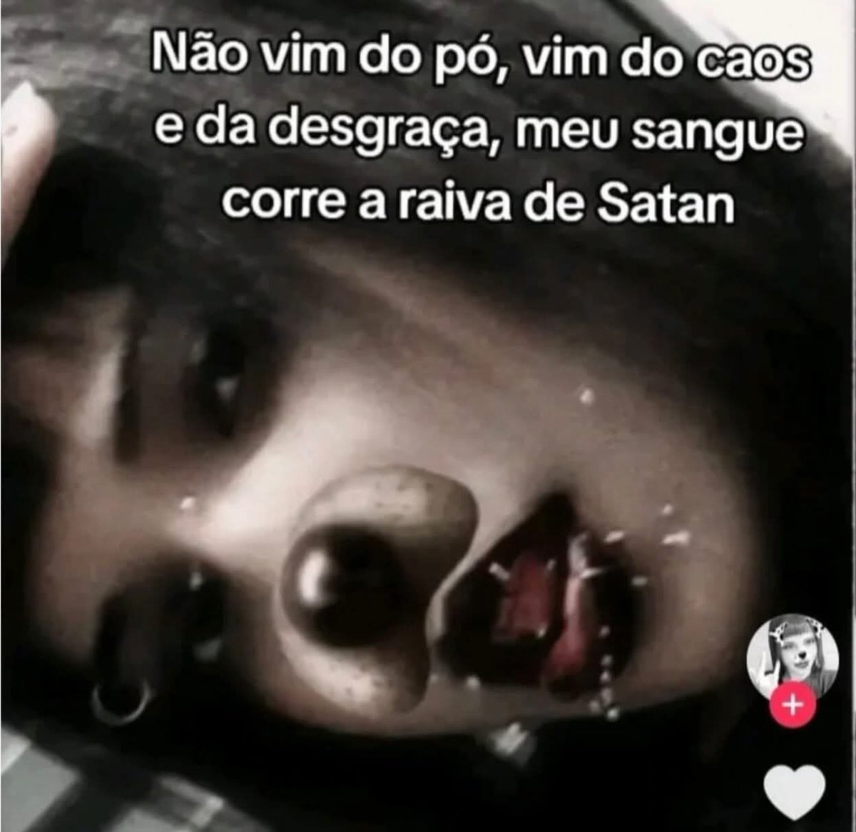 Boqueteira Fantasma tweet media