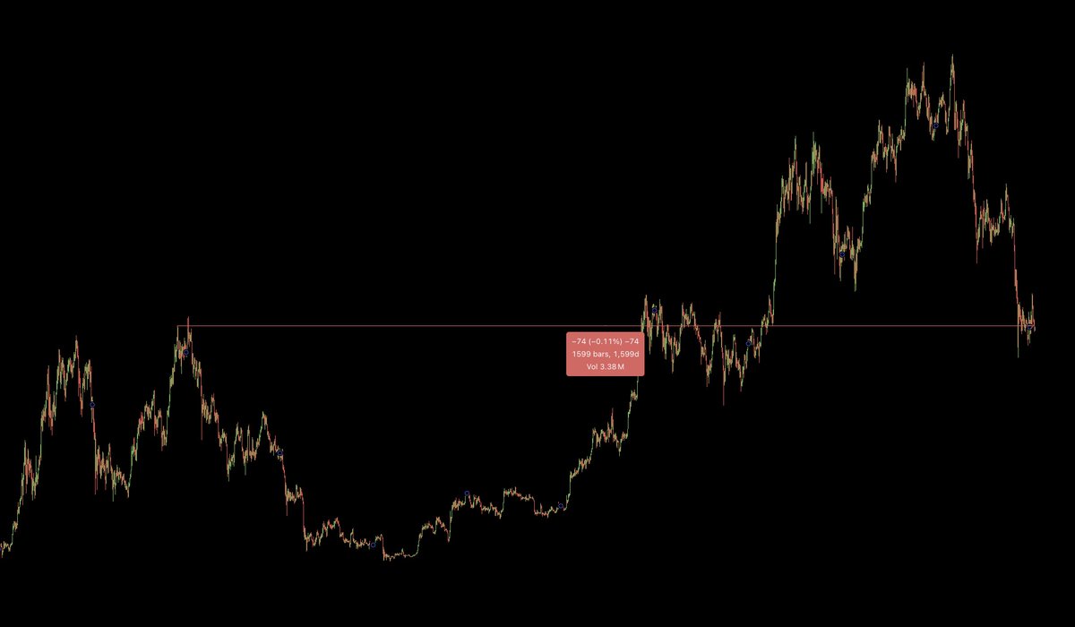 Jason Pizzino 🌞 tweet media