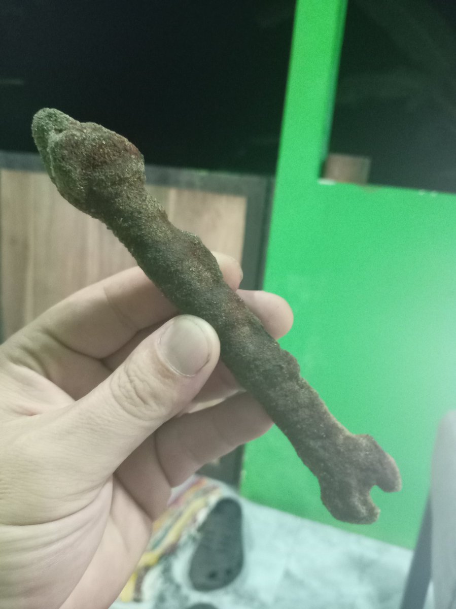 SmokinLove₿ill🌴🐒🍺🟠🥓🥩🍖🍗 tweet media