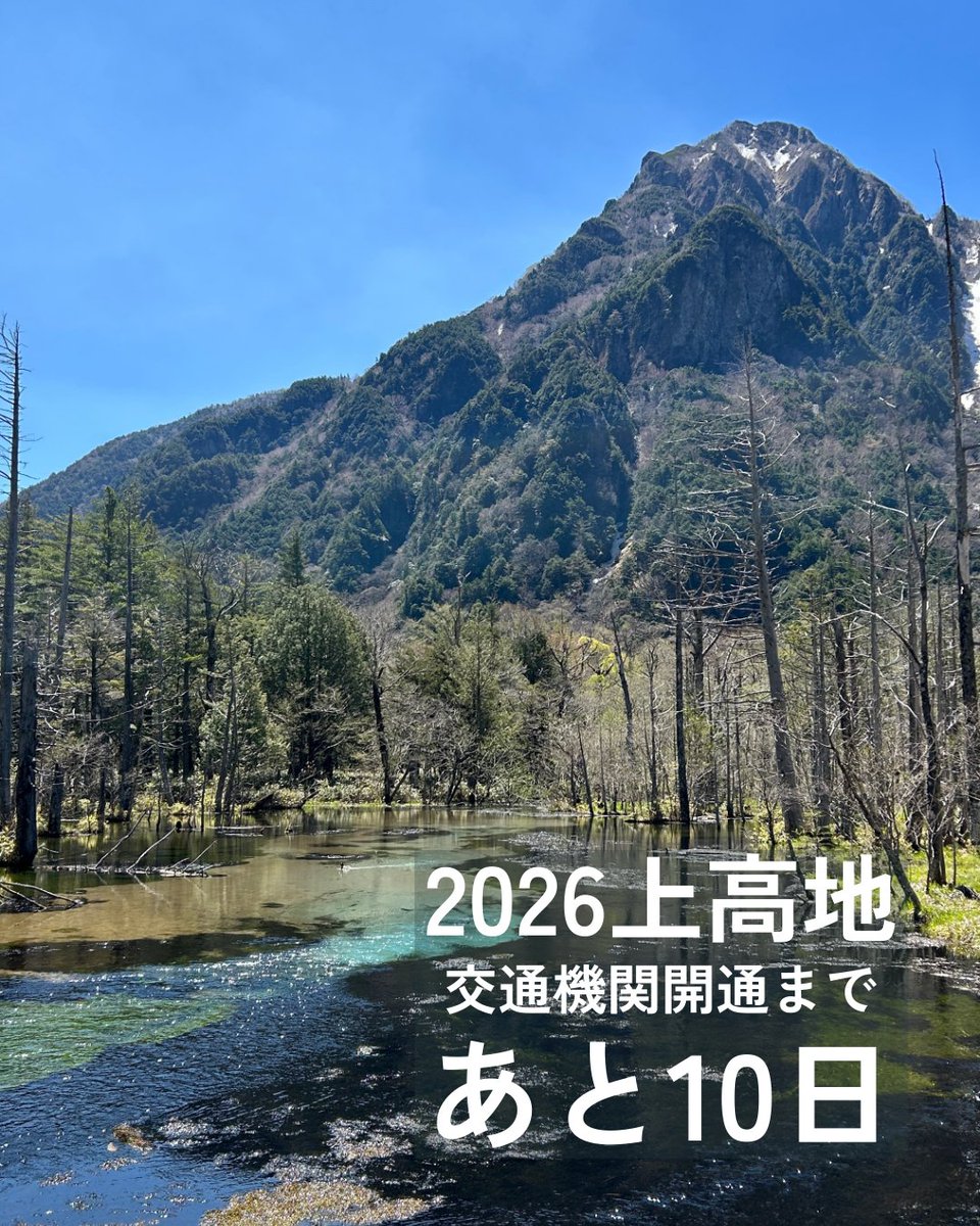 ネイチャーガイド ファイブセンス@上高地 tweet media