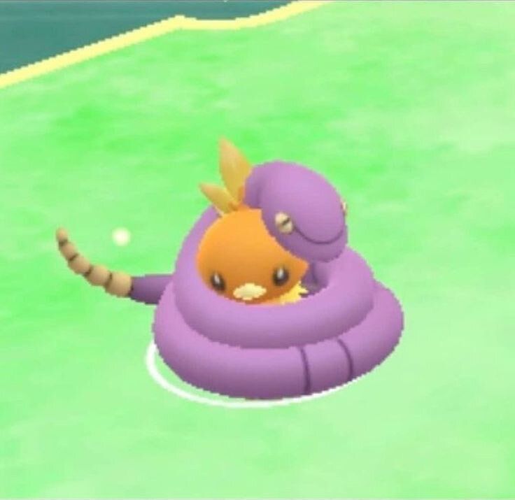 Pokémon Posts tweet media