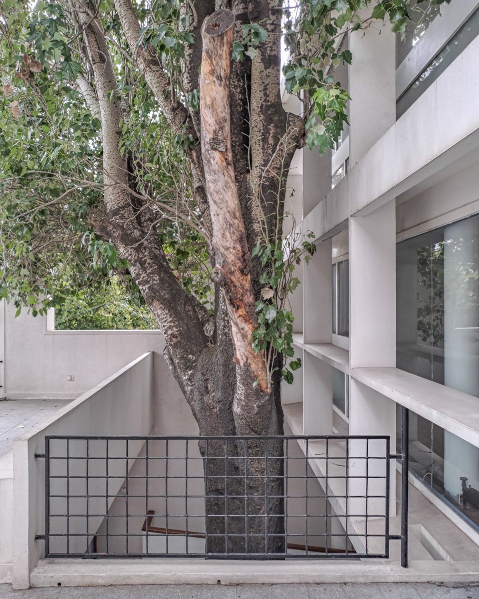 fedekufoto's tweet photo. Desde la precisión geométrica de su fachada insertada en la trama urbana hasta los detalles íntimos de su interior, se enfatiza la vigencia de los cinco puntos de la arquitectura moderna. https://t.co/nm4JI3Rtzl