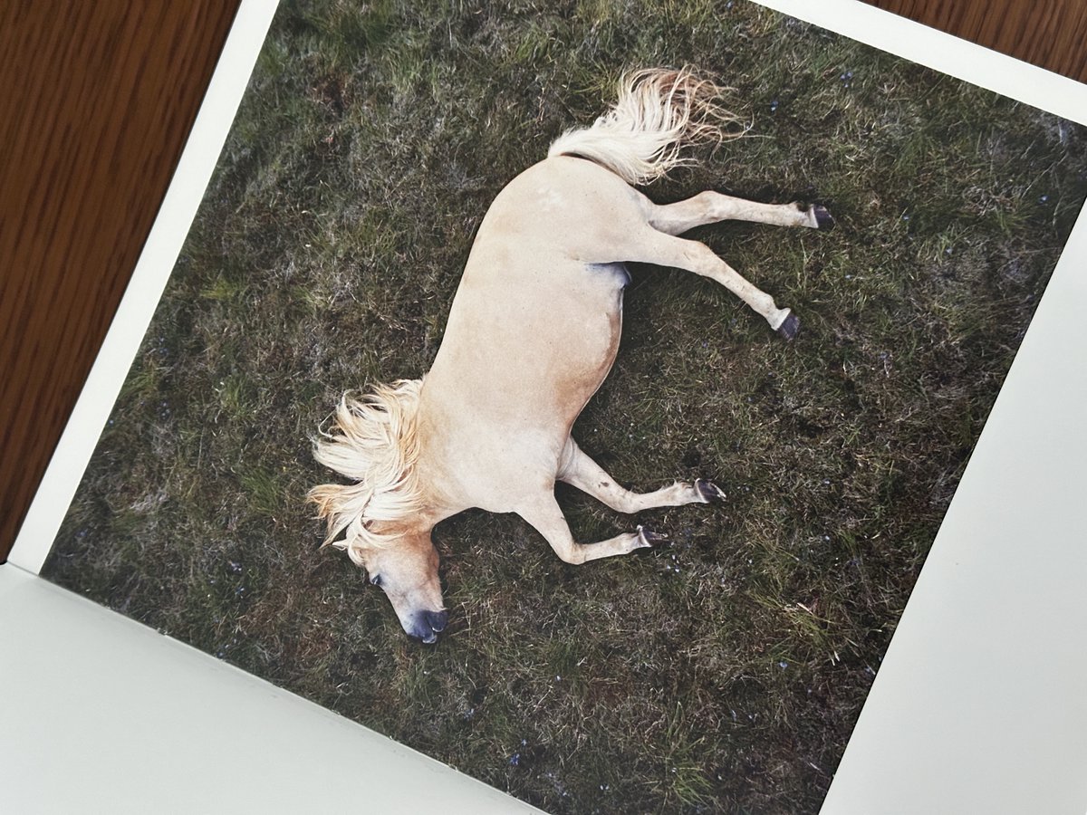 케이채 (K. CHAE) tweet media