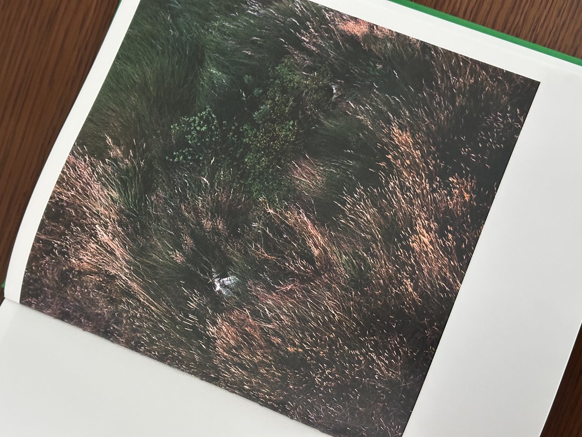 케이채 (K. CHAE) tweet media