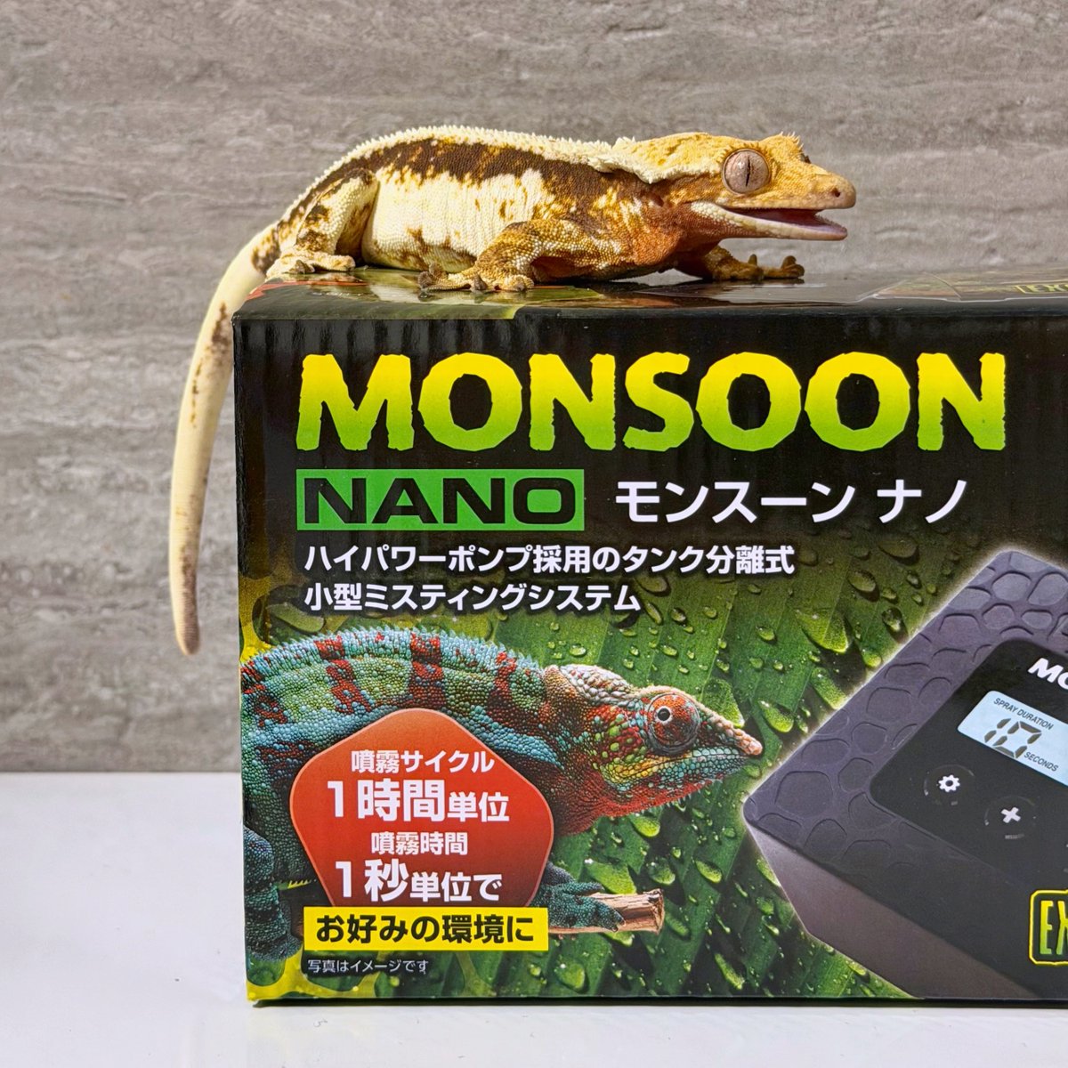 まつげやもりちゃん tweet media