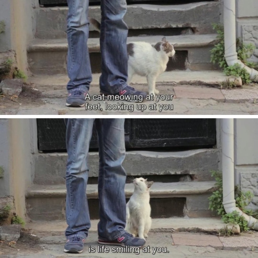 hîv. (@sorrrowfull) on Twitter photo 