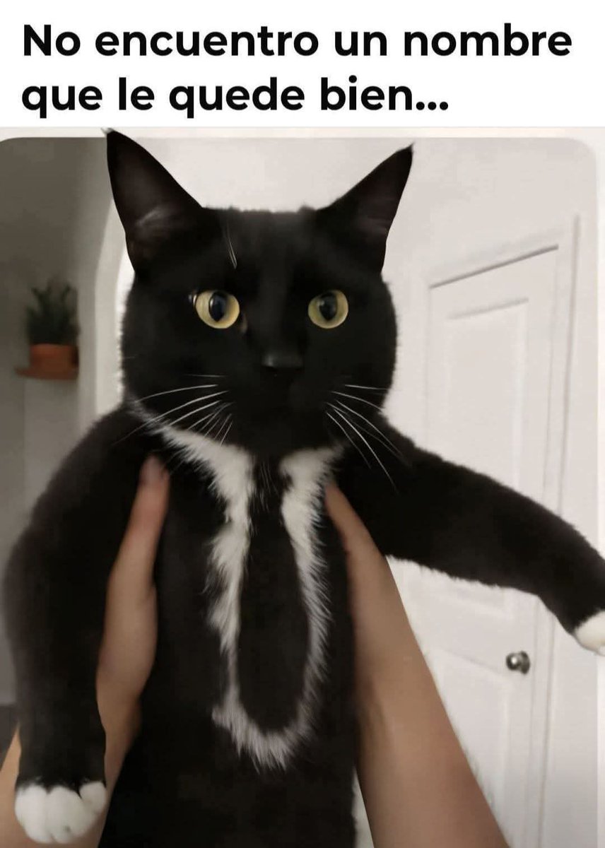 Sabueson tweet media