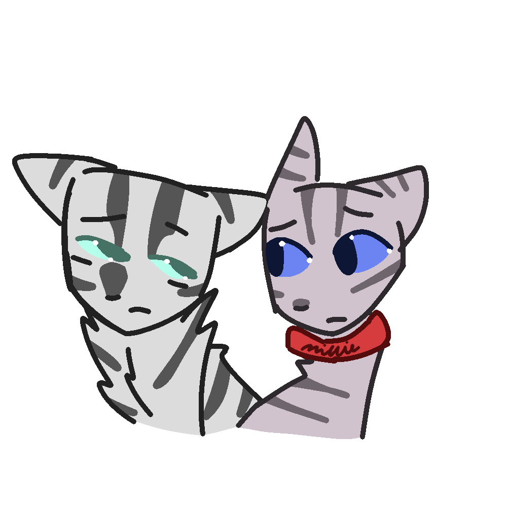 natural_puddle's tweet photo. International Women's Day 4/4
#warriorcats #silverstream #millie #milliewc #wcmillie https://t.co/YjpD0cOE6h