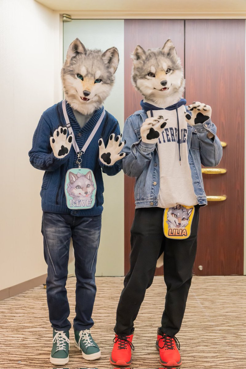 FLEET(ねこのすがた) tweet media