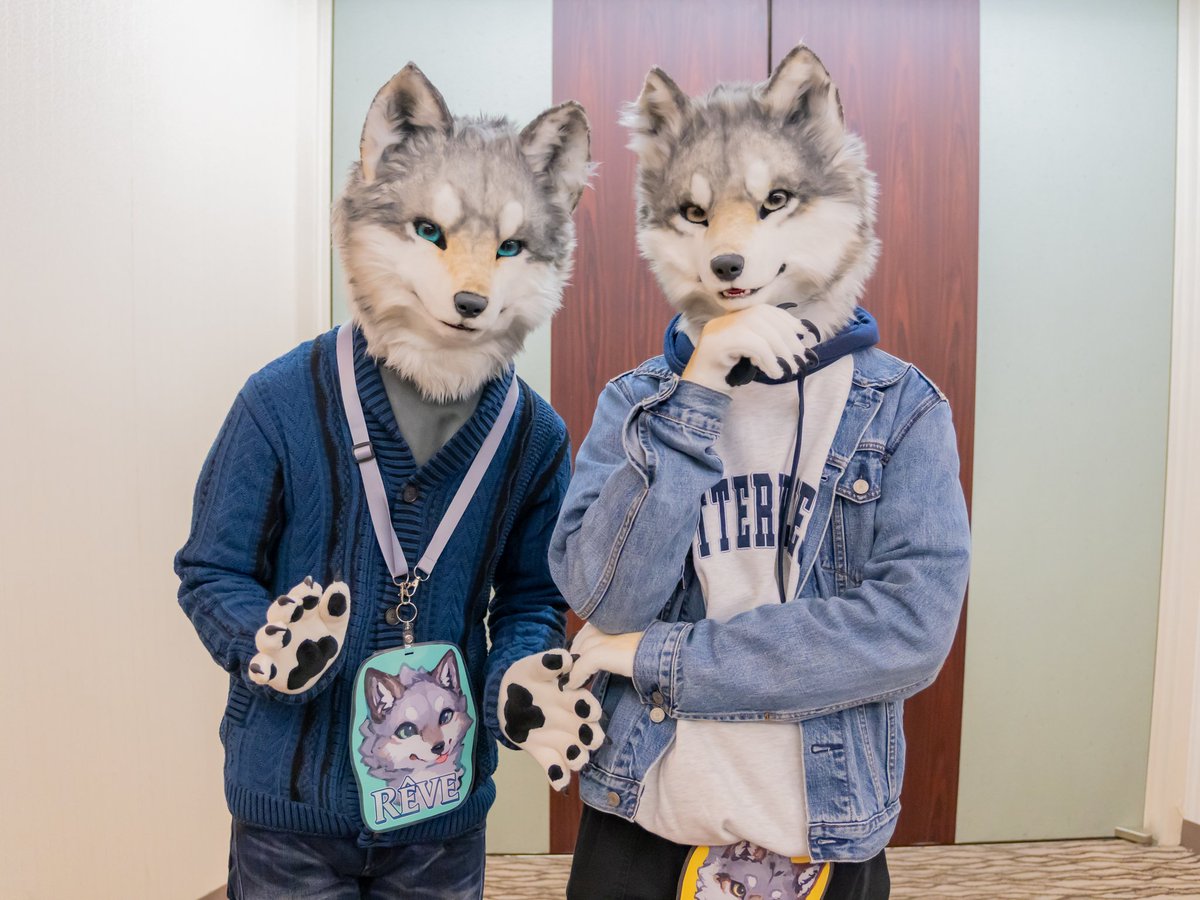 FLEET(ねこのすがた) tweet media