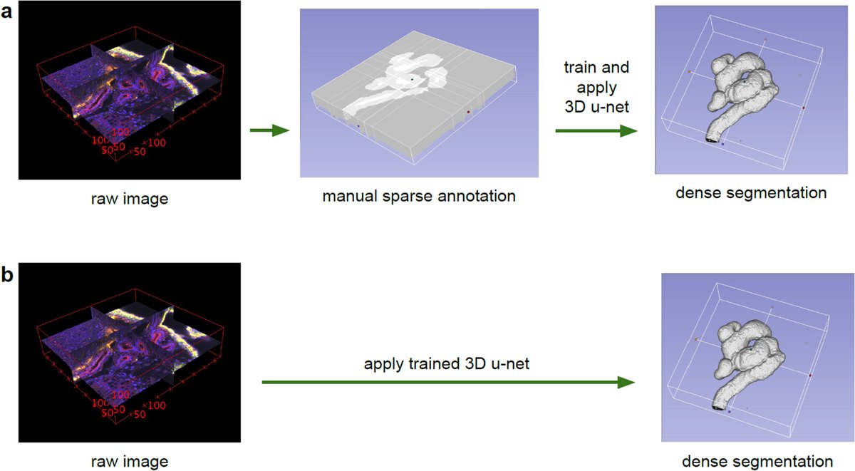 Intelligent Medicine tweet media