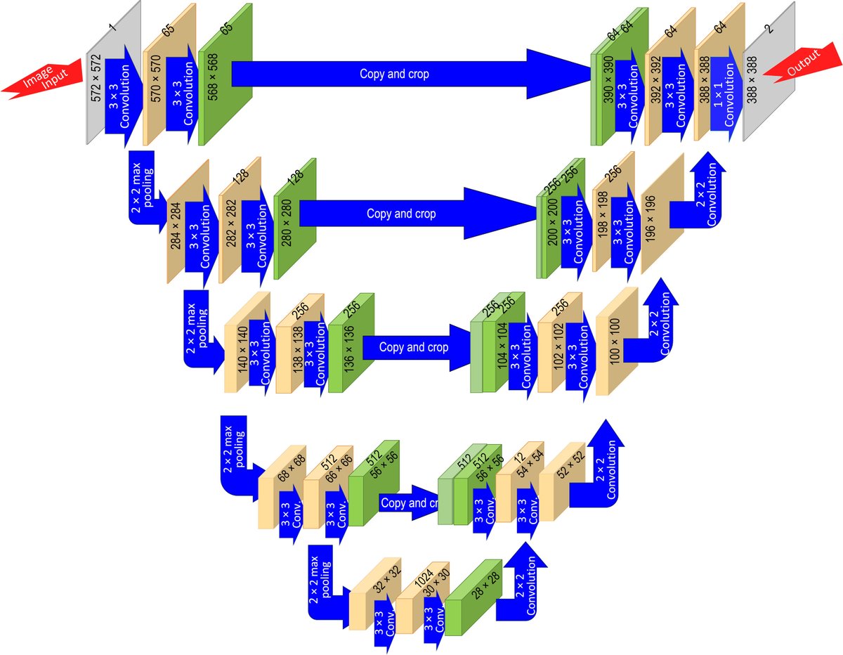 Intelligent Medicine tweet media