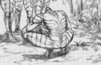 Alien Headbutt was crazy good this week