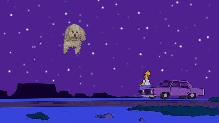 🎶 ℙ𝕀𝕃𝕃𝕆 𝔹𝕌𝔼ℕ𝔸 𝔾𝔼ℕ𝕋𝔼🎶 tweet media