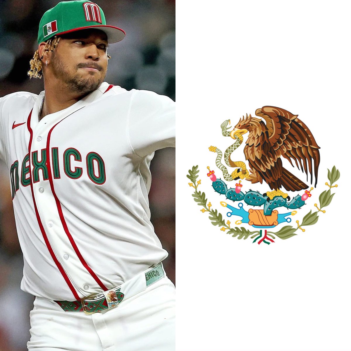 Cerebros tweet media