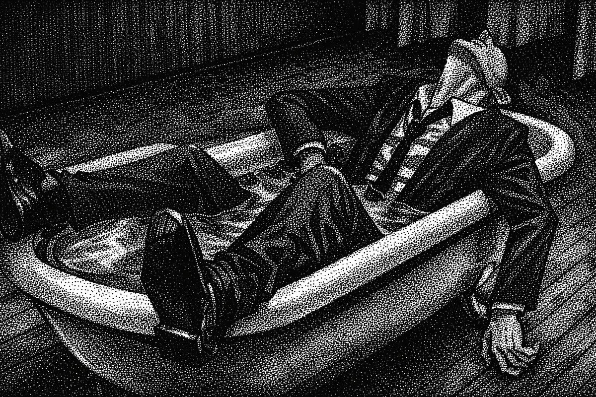 nocturnal tweet media