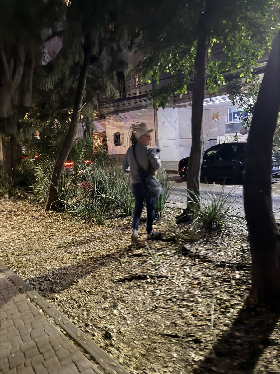 Sofia Macias Liceaga tweet media