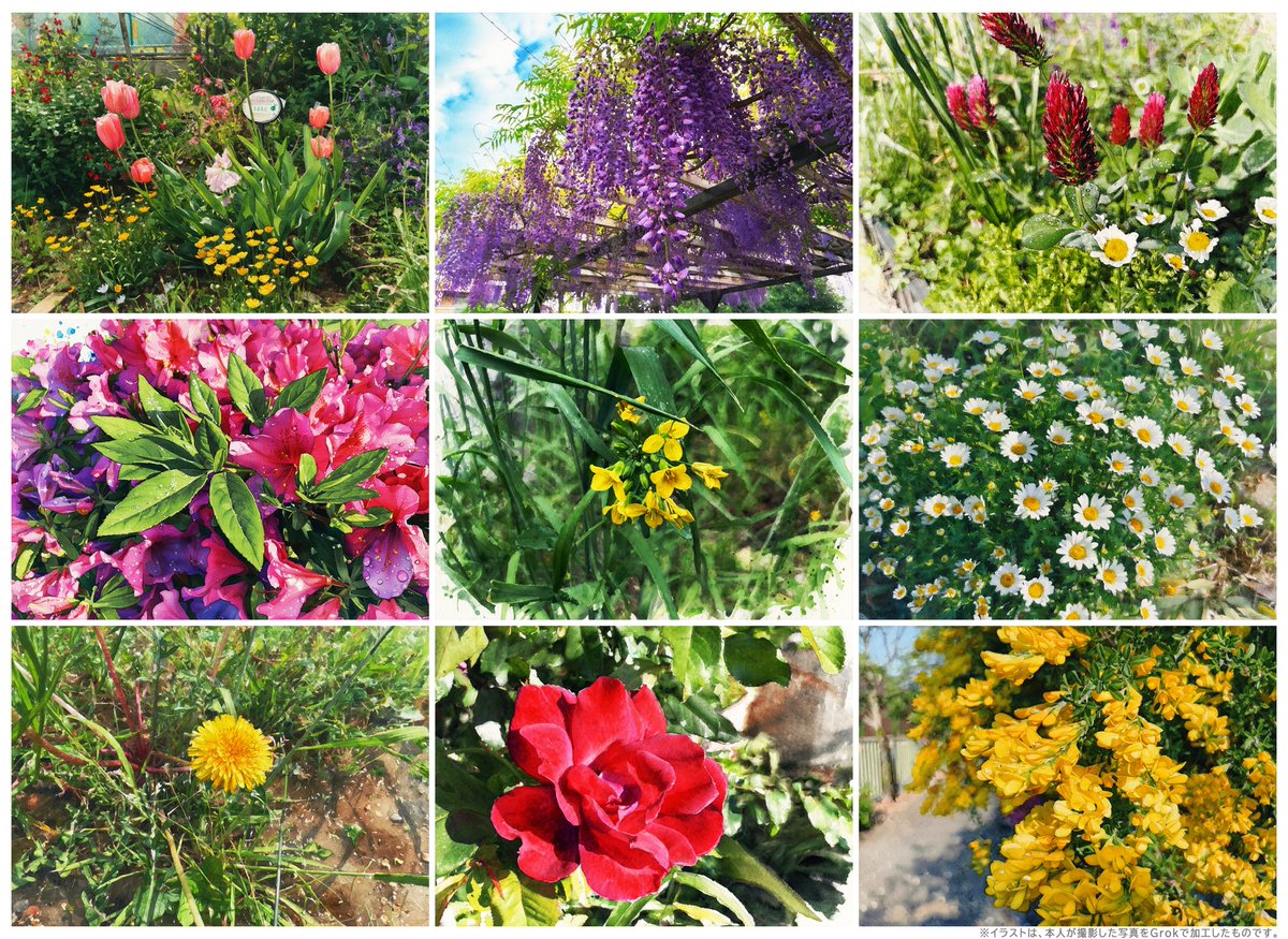 ⠀
「ともとも絵本」です。

今年は、スギ花粉の飛散が
早く終わりそうなので、
春の花を見に出かけませんか。 (⌒_⌒๑)

#ともとも絵本