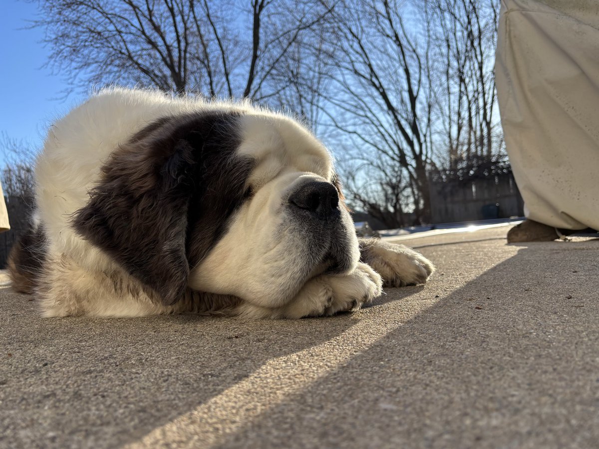 Chris Robb tweet media