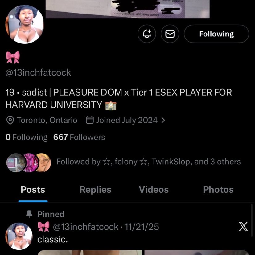 aria 𝜗𝜚˚⋆⋆ tweet media