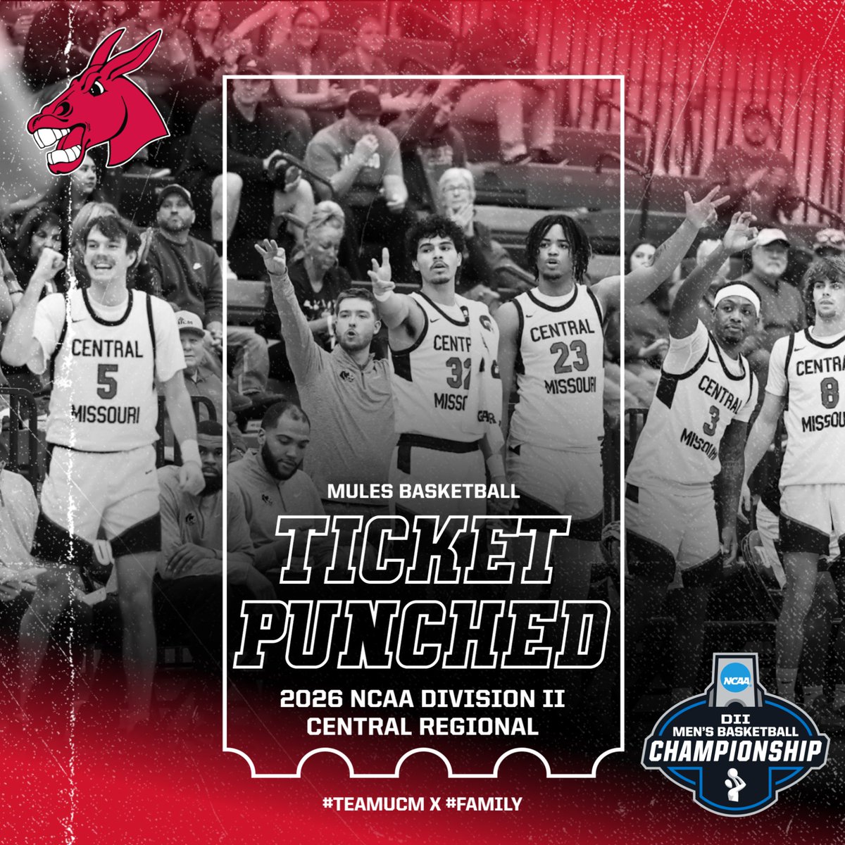 Mules Basketball tweet media