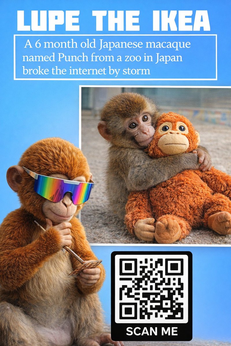 Lupe The IKEA Orangutan tweet media