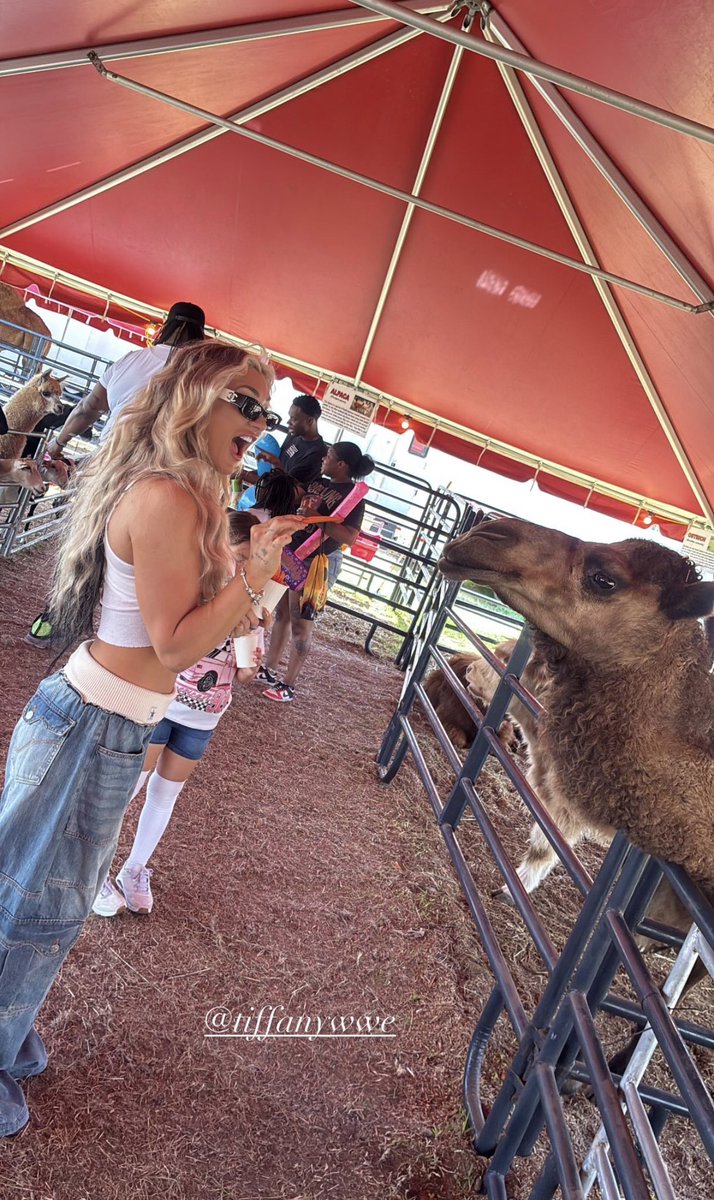 Spoiled & Dangerous.౨ৎ NOT @Tiffstrattonwwe. tweet media