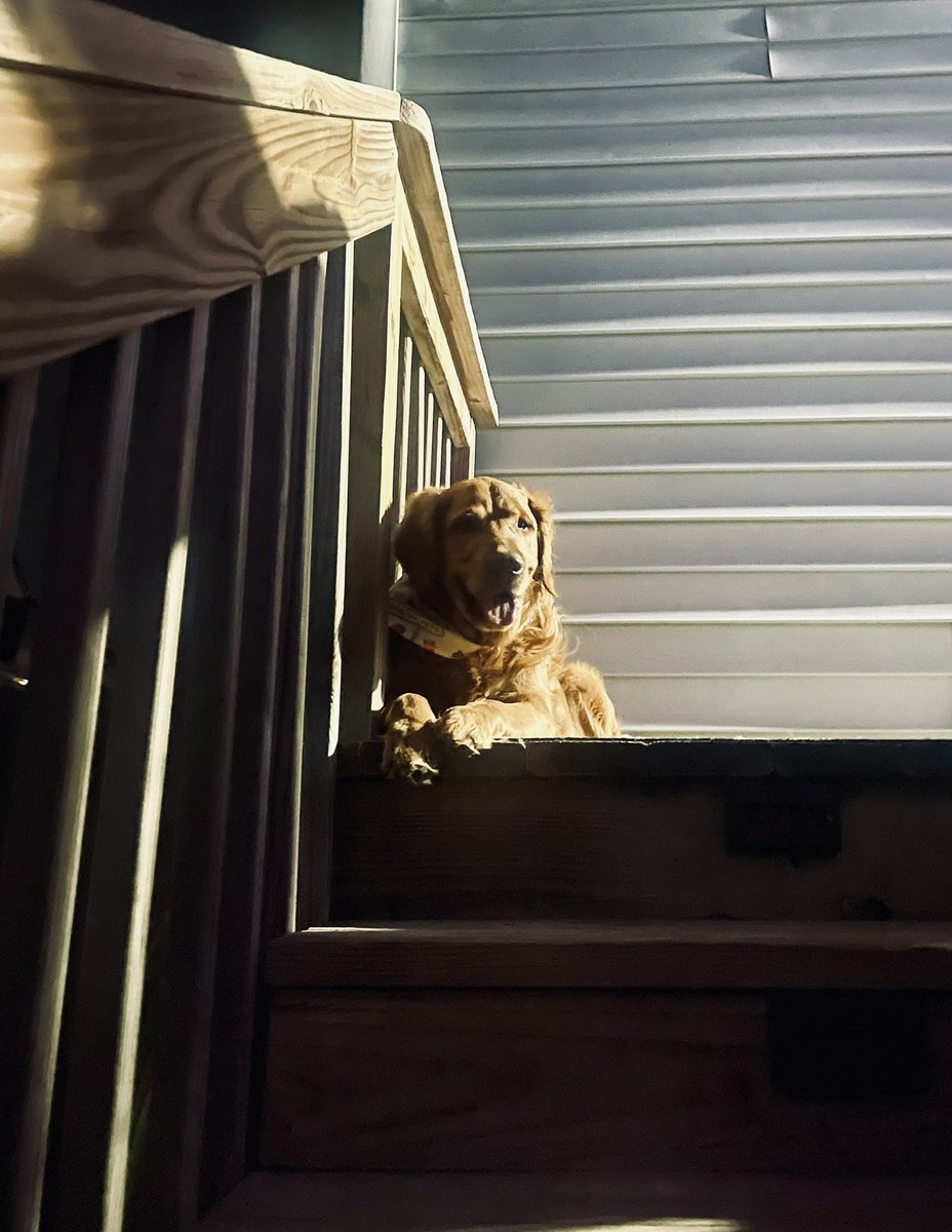 Shawn Finch tweet media