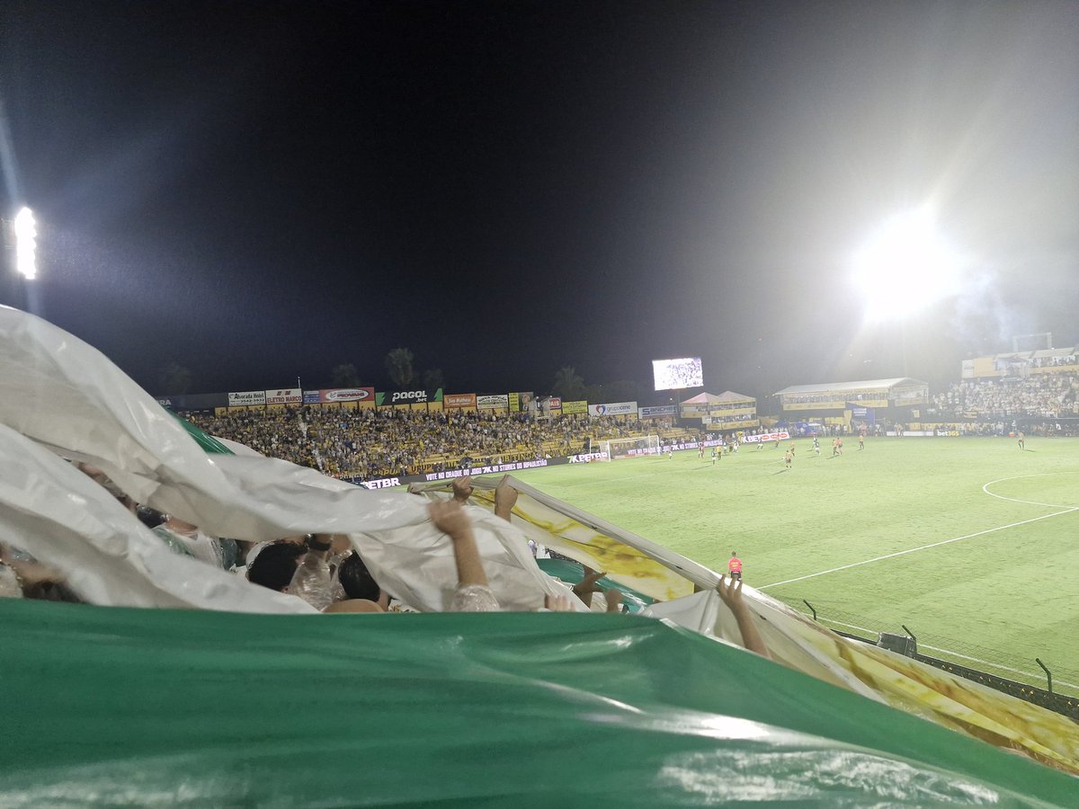 Rodrigo Barneschi tweet media