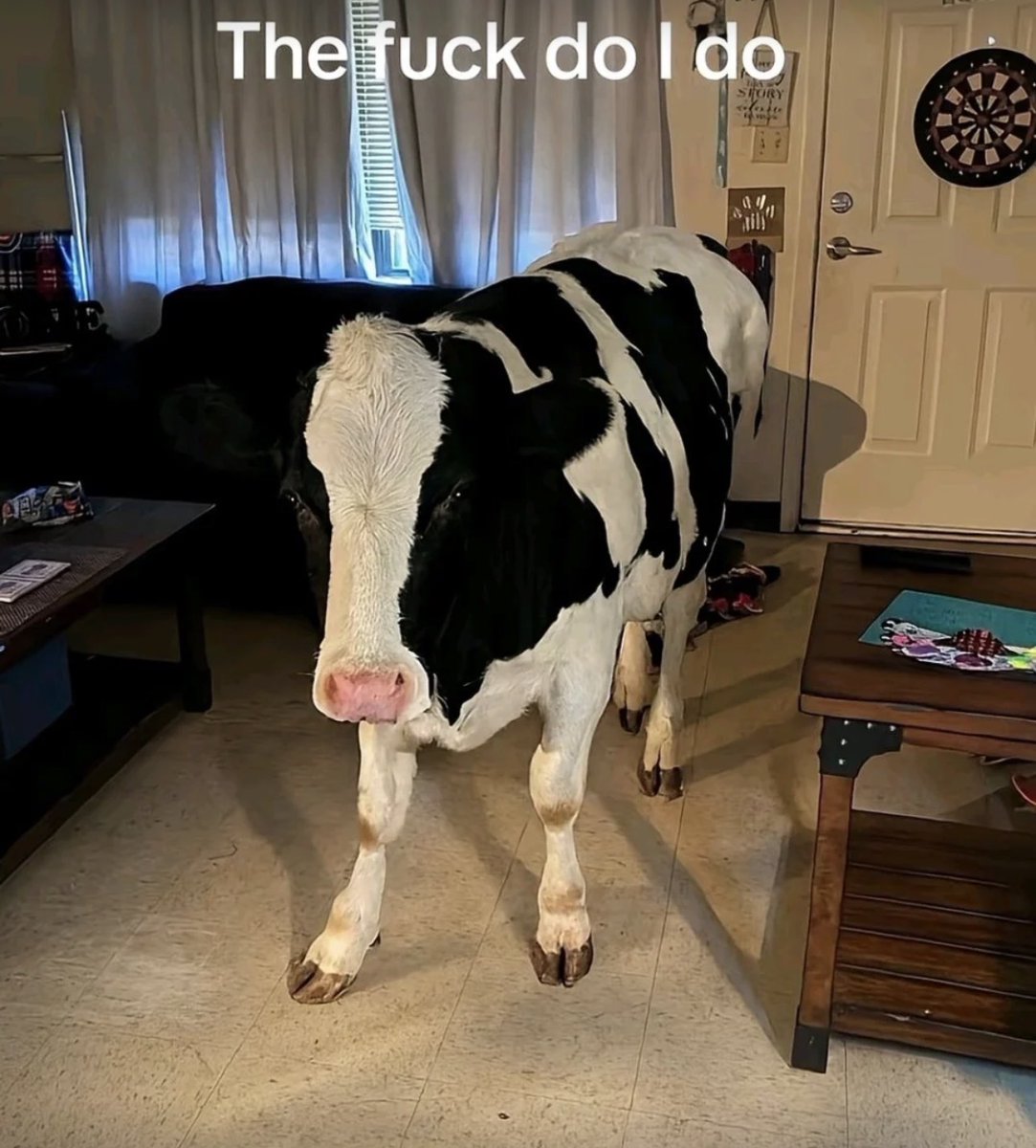 ShitpostGateway tweet media