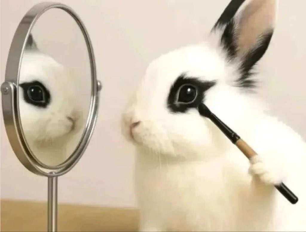 نيني tweet media