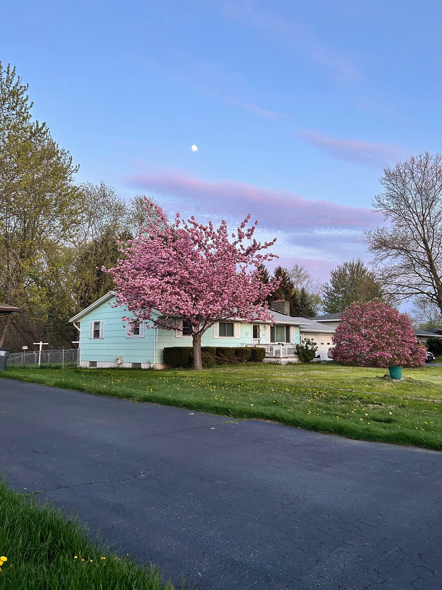 lisie 🎧ྀི♪⋆.✮ is UNIQUE | ENHYPEN IS 7 tweet media