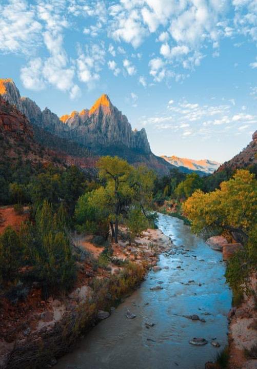 Rose8yd's tweet image. Fresh week, fresh start, fresh goals. Let's turn this Monday into something amazing! ☀️ #MondayMotivation #NewWeekNewGoals