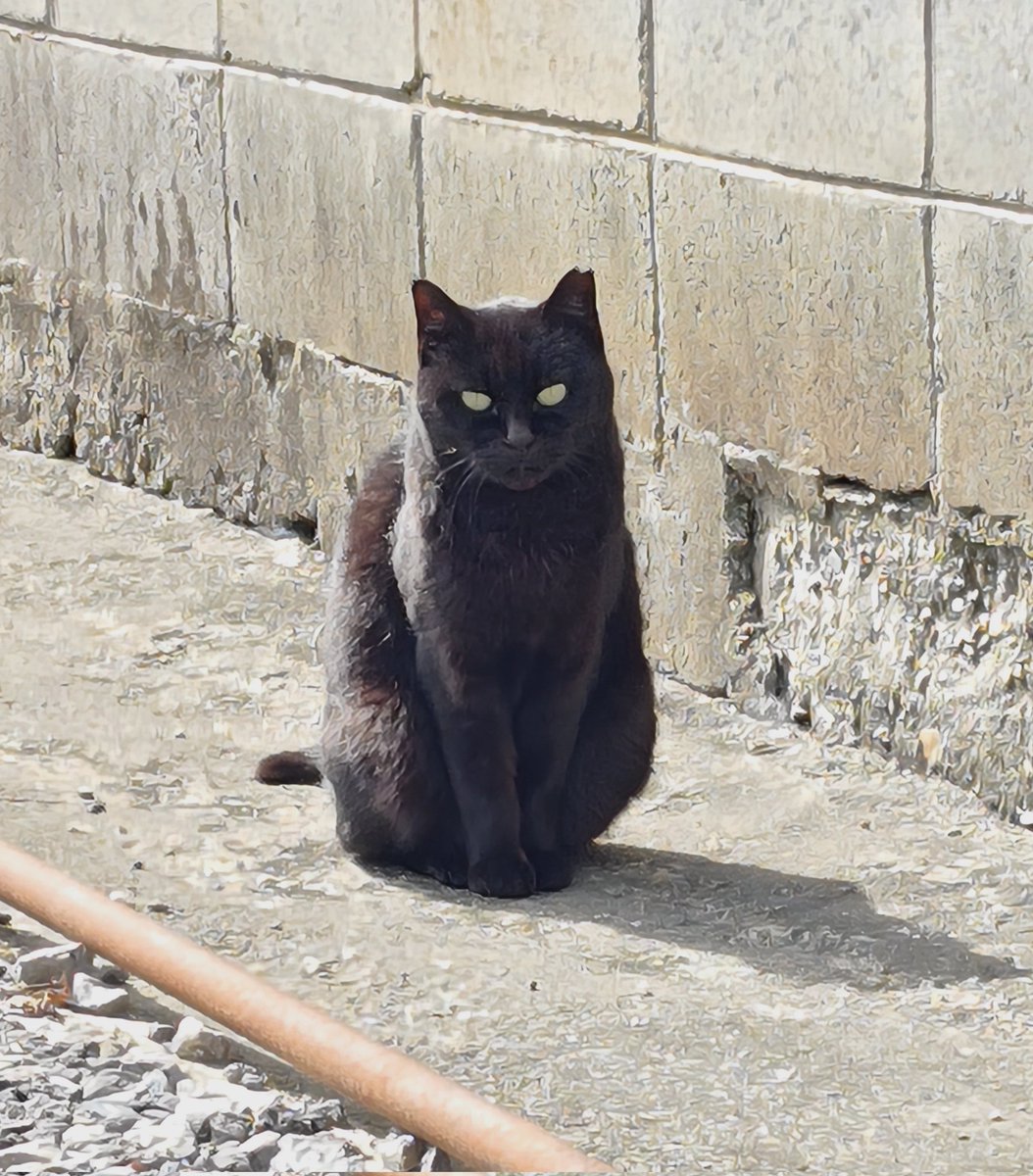 ★上条  響★ tweet media