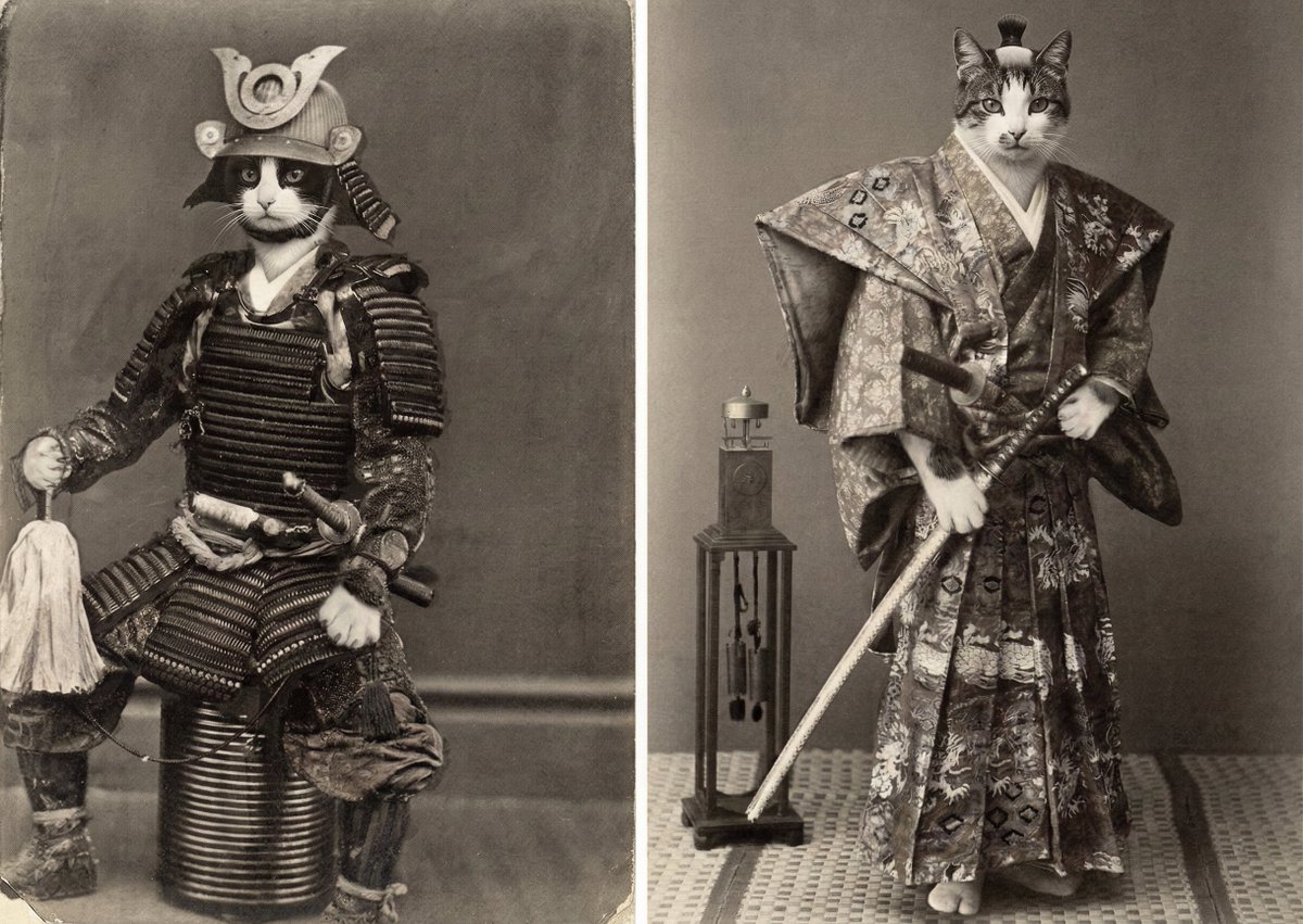 Little is known about the Cat Ronin, but songs and legends tell of their honor and strength in battle.