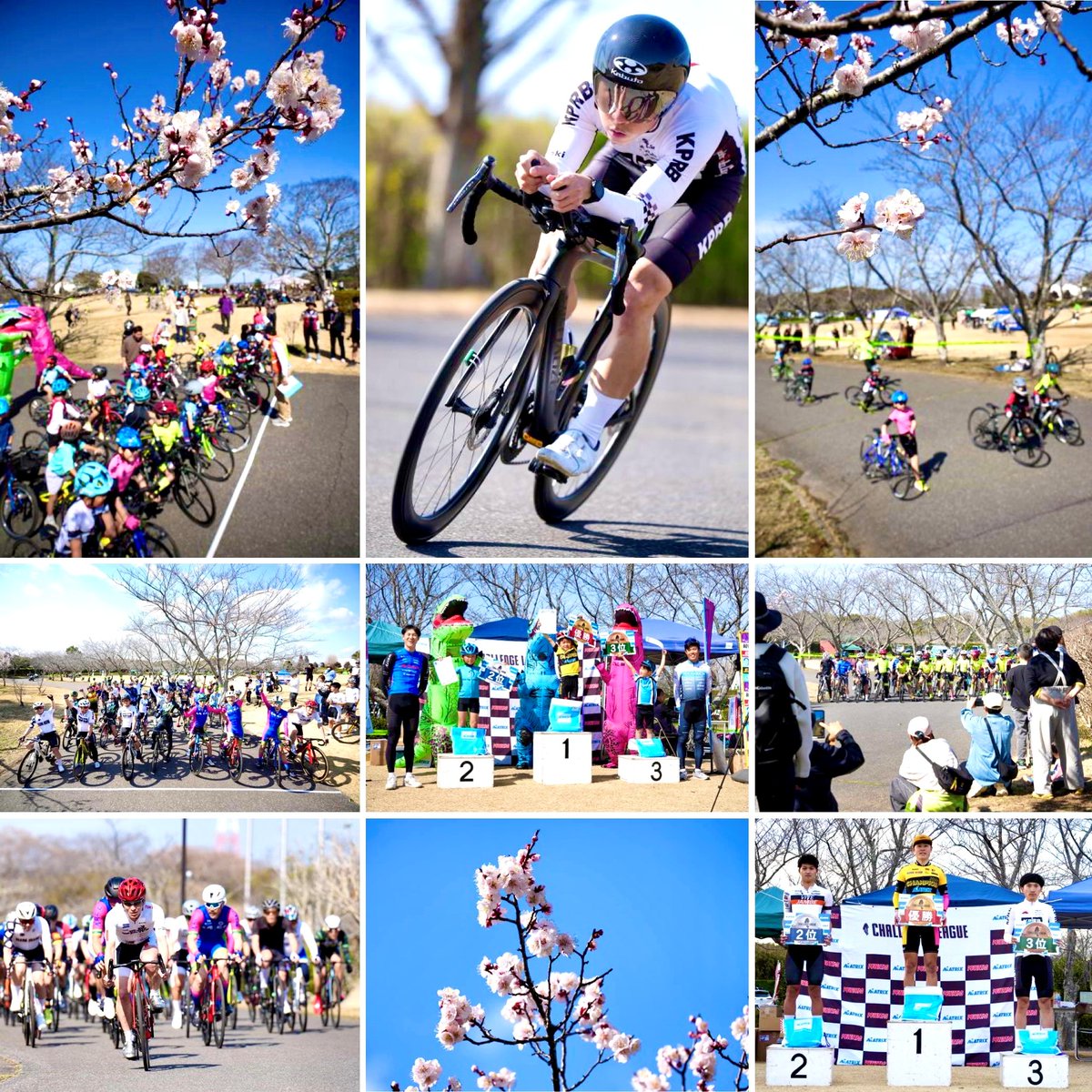 MATRIX SPORTS（マトスポ） tweet media