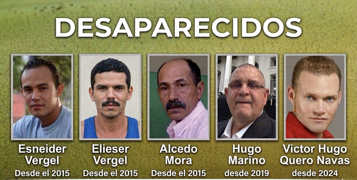 freddyzur tweet media