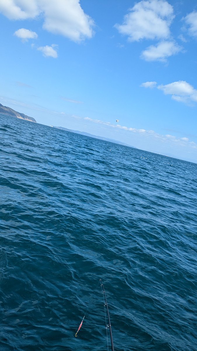 月曜日😆皆様おはようございます😆昨日は青物釣りにいってました😆めちゃくちゃ渋かったけど何とか釣れました🤣オクトラクリア後の日々のRPG枠を悩み中😆積みゲーの中からドラクエ3かゼノクロが今最終候補となりました🤤今晩からやります☺️