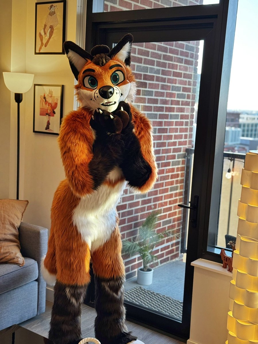 Sondyr. 🦊 tweet media