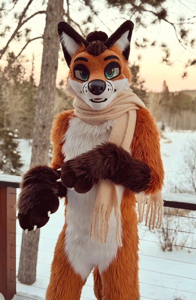 Sondyr. 🦊 tweet media