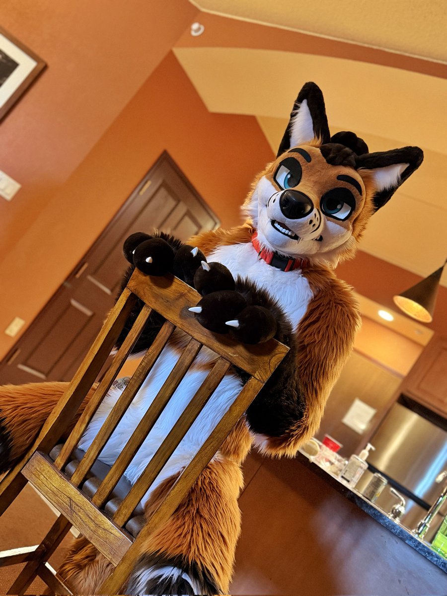 Sondyr. 🦊 tweet media