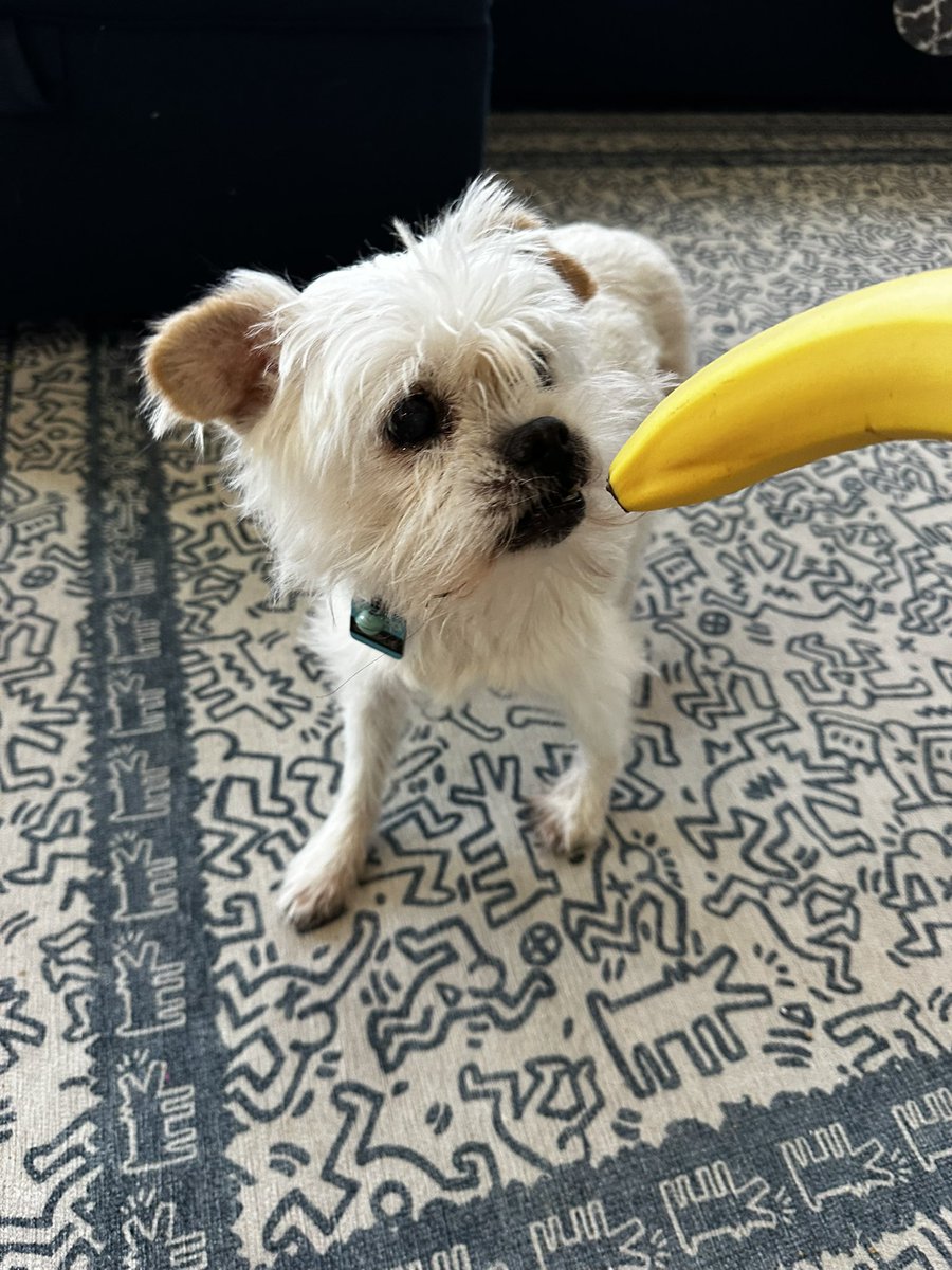 cev 🤍🌿 NEW COVER 📌 tweet media