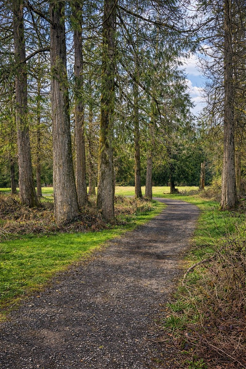 JeffVColley's tweet photo. Snuck in a good afternoon walk before the rains rolled in. #PNW timing at its finest. 🌲 https://t.co/pMxg4vcWbK