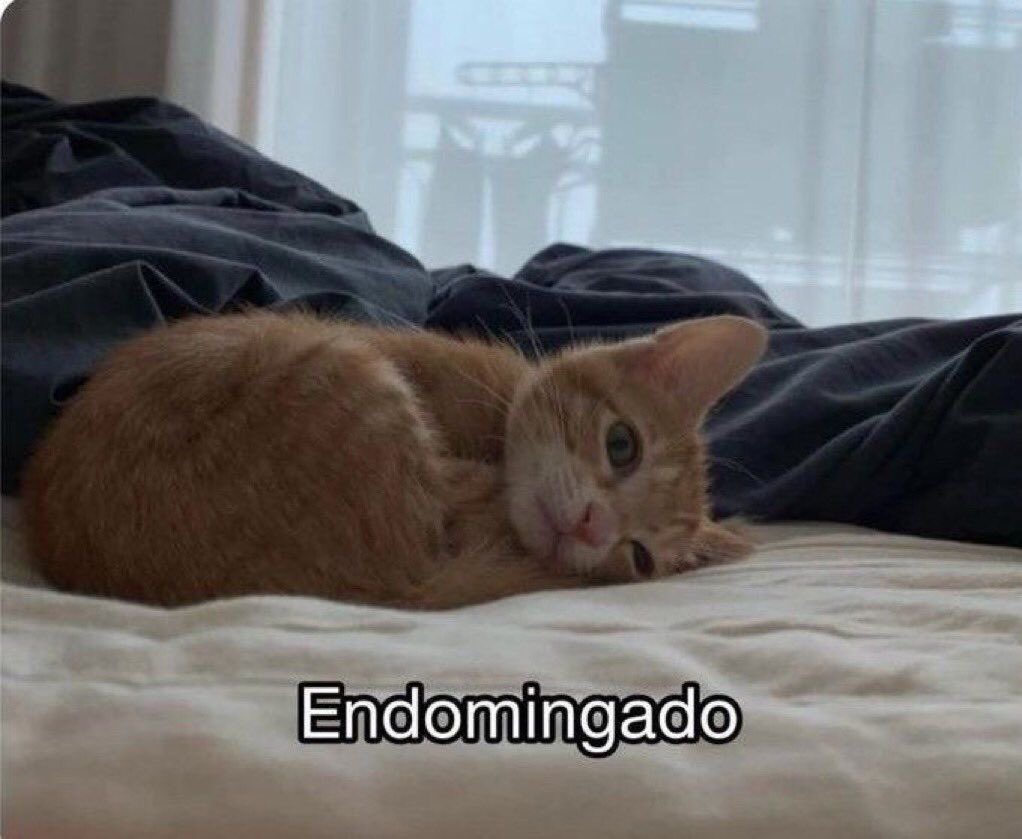 paginalixo1's tweet photo. passei o dia todo assim https://t.co/x6XNR6XeLn
