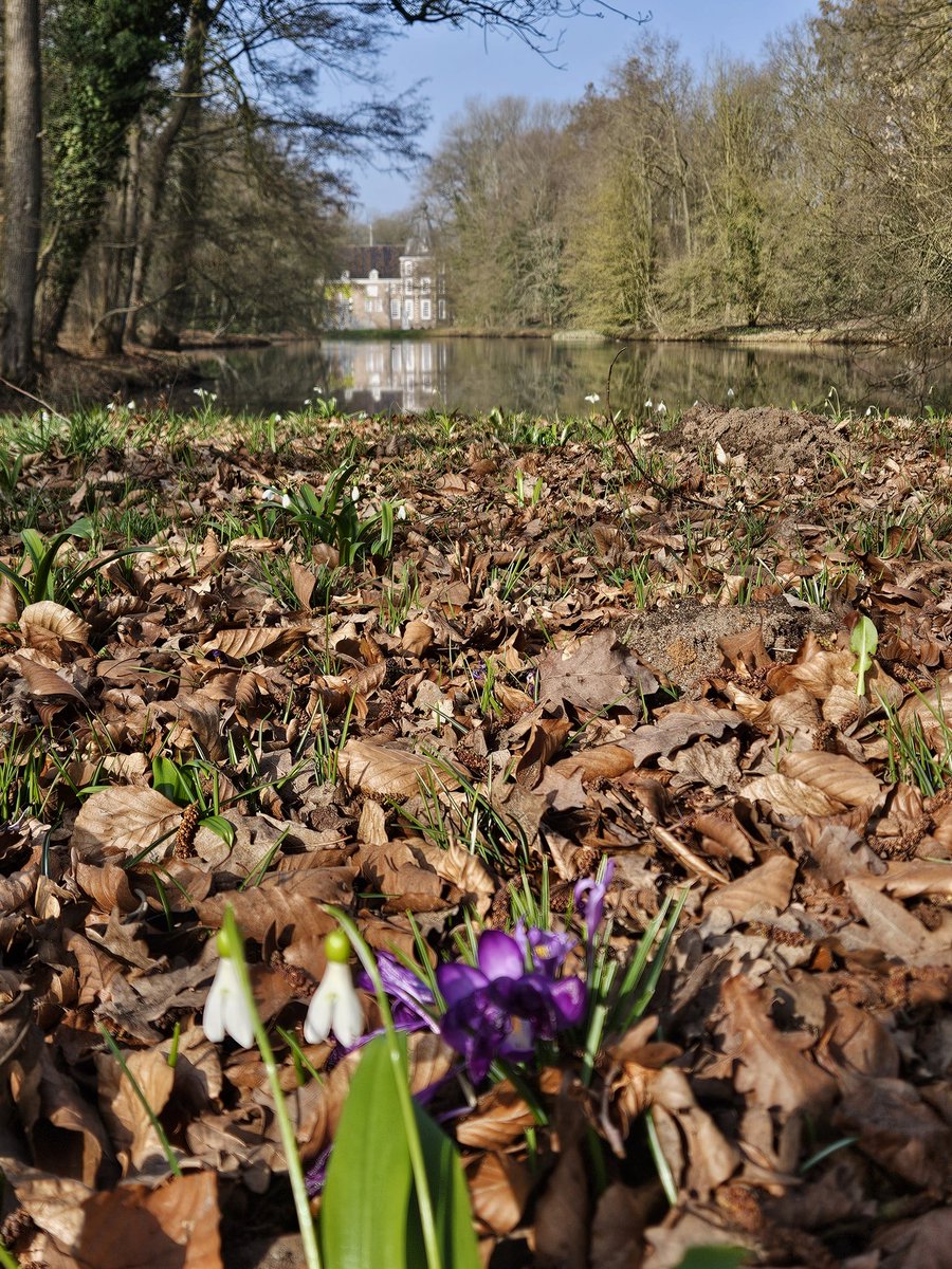 Matthieu 💫bdeijn tweet media