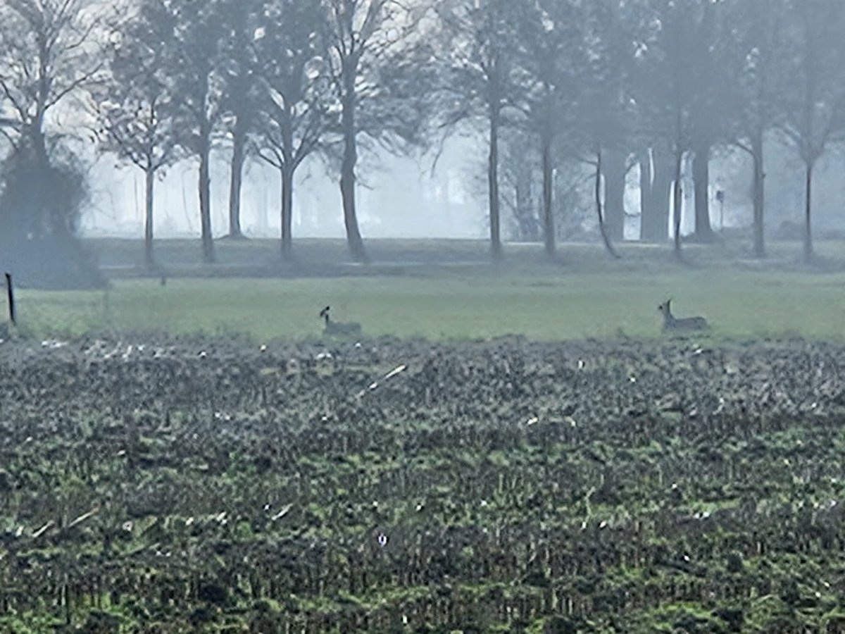 Matthieu 💫bdeijn tweet media