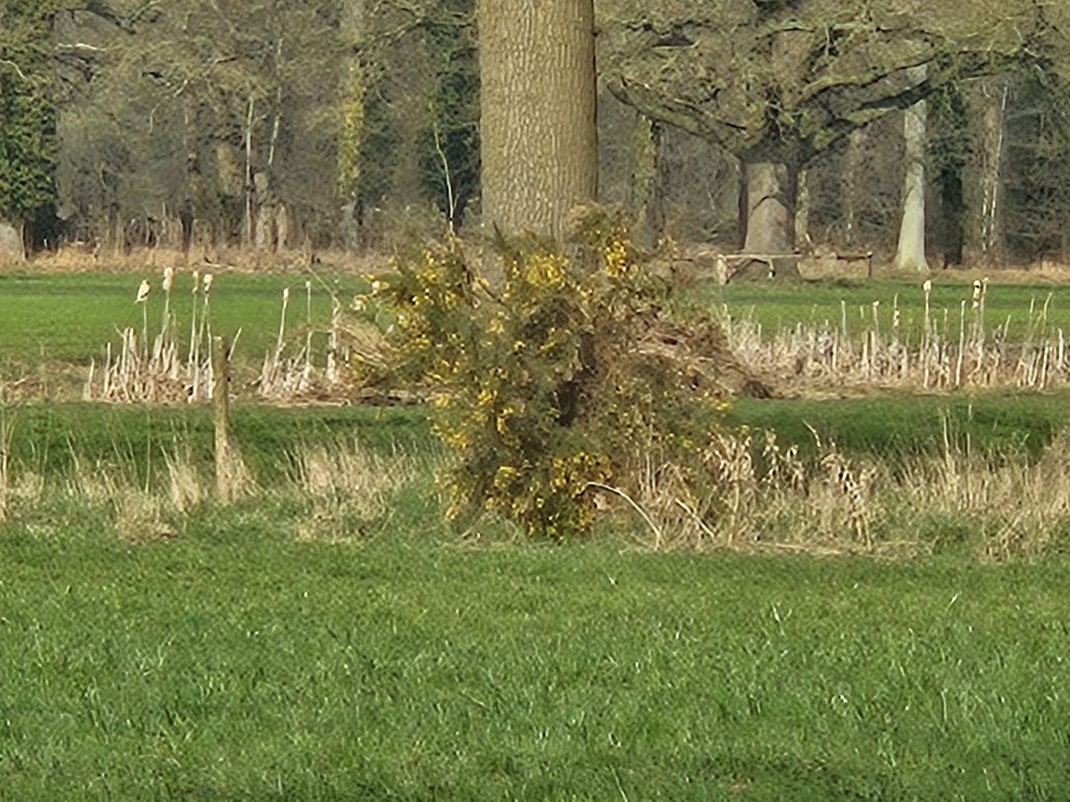 Matthieu 💫bdeijn tweet media